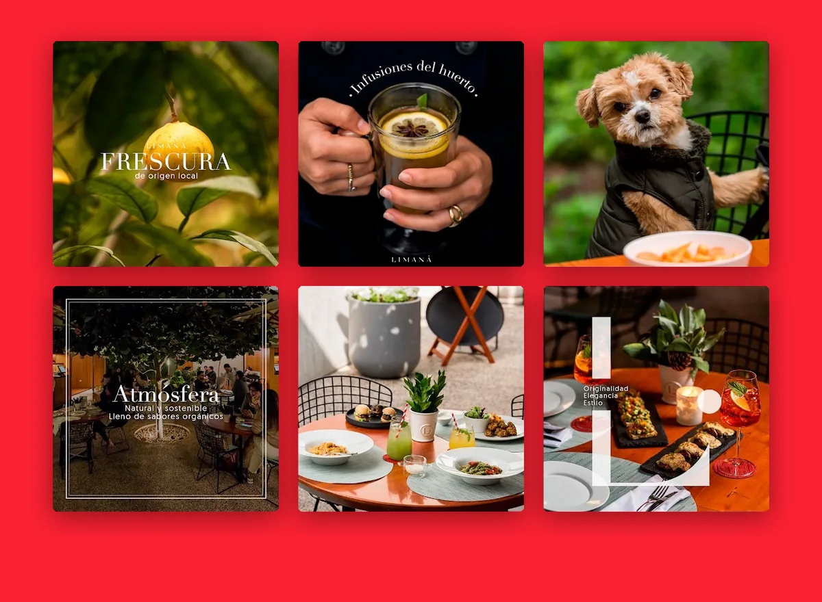 Limaná Peruvian superfood restaurant dish